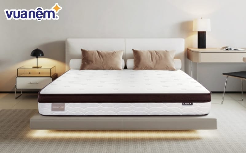 Nệm lò xo túi Cocoon 2.0 Premium 2mx2m