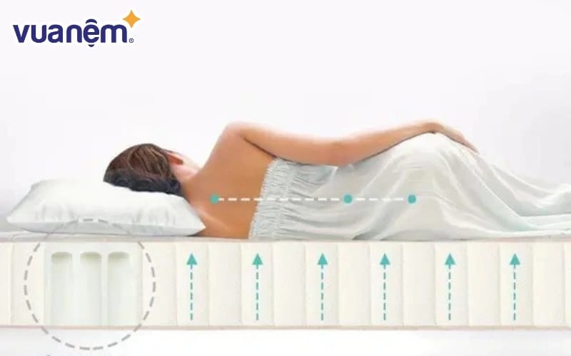 Các dòng nệm Liên Á có khả năng nâng đỡ tốt