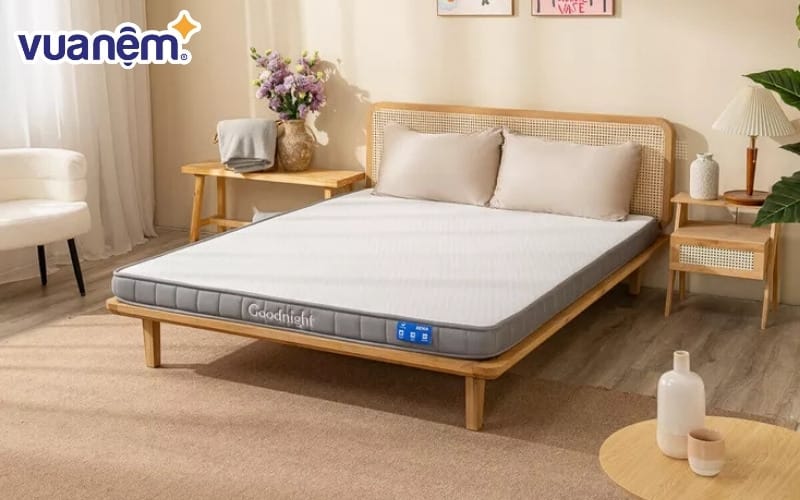 đệm cao su mỏng Goodnight Rena