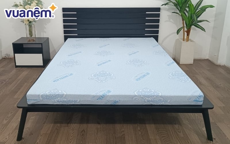 Thương hiệu nệm Thắng Lợi cũng được nhiều người đánh giá cao