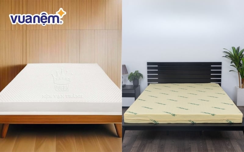 So sánh chi tiết nệm cao su Vạn Thành và Thắng Lợi