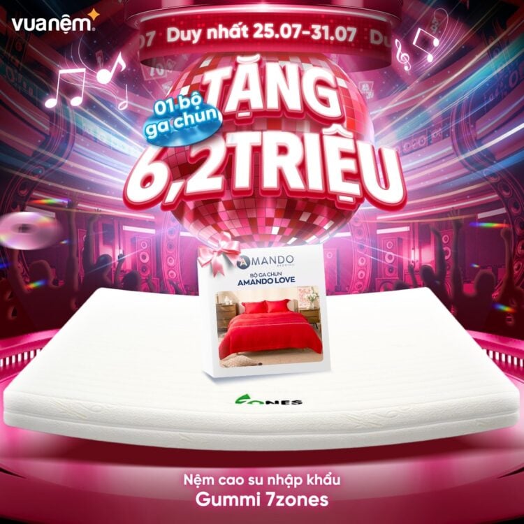 Nệm cao su cao cấp Gummi 7zones