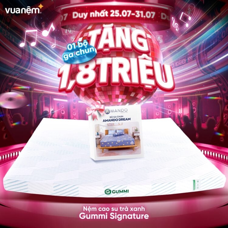 Mua nệm Gummi Signature tặng bộ ga chun