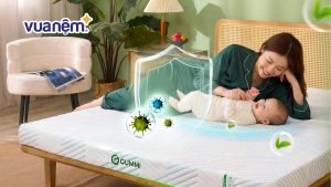 Top 10 nệm cao su cho bé sơ sinh bố mẹ nên chọn mua