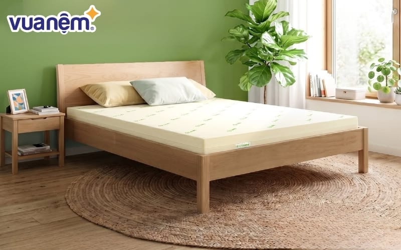 Tuổi thọ nệm cao su lớn hơn nệm foam