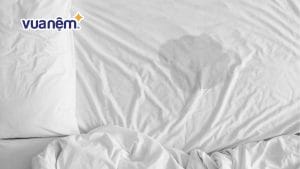 Chi tiết cách xử lý nệm cao su bị ướt hiệu quả ngay tại nhà