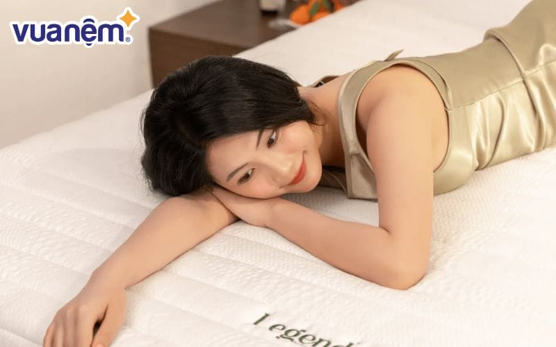 Mẫu nệm Gummi Legend nâng đỡ 7 vùng cao cấp