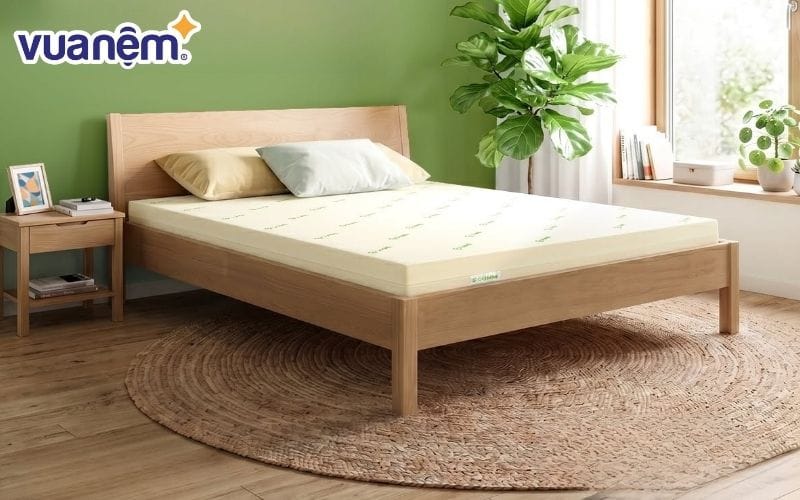 Hướng dẫn sử dụng nệm cao su - Đặt nệm đúng cách