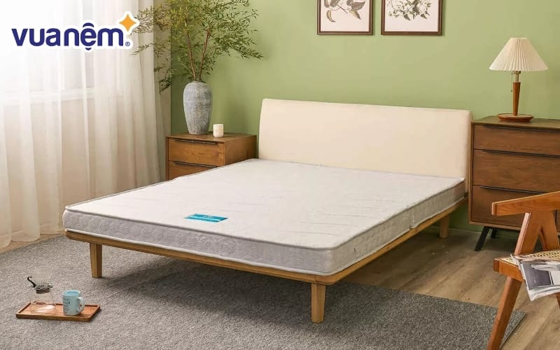 Đệm bông ép là dòng sản phẩm vô cùng phổ biến tại thị trường Việt Nam