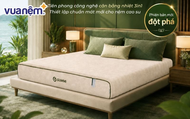 Nệm cao su cân bằng nhiệt 3in1 Gummi Hybrid Plus