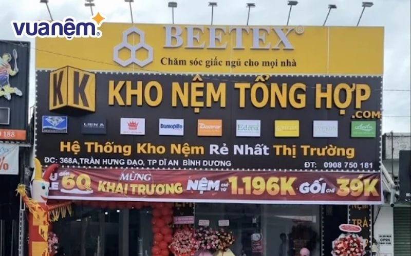 Kho Nệm Tổng Hợp cung cấp nhiều nệm cao su từ các thương hiệu khác nhau