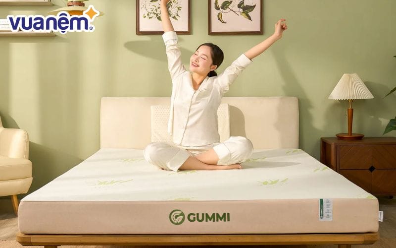 Nệm cao su thiên nhiên Gummi Hybrid