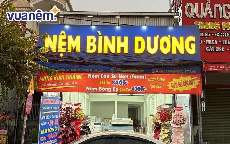Nệm Bình Dương cung cấp nhiều sản phẩm chất lượng