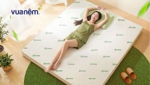 Nệm cao su có giúp giảm đau lưng không? Top 5 mẫu nệm nên mua