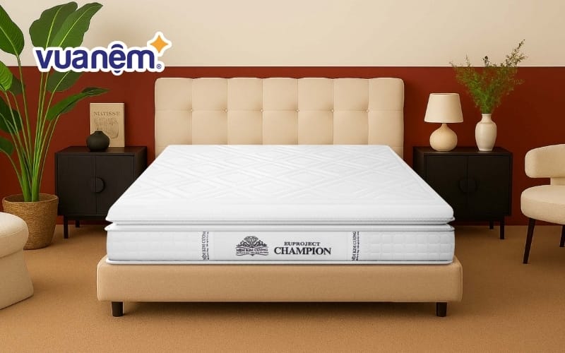 Nệm Kim Cương cung cấp nhiều loại nệm lò xo cao cấp