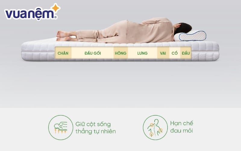 nen chon mua nem cao su hay nem bong ep 3