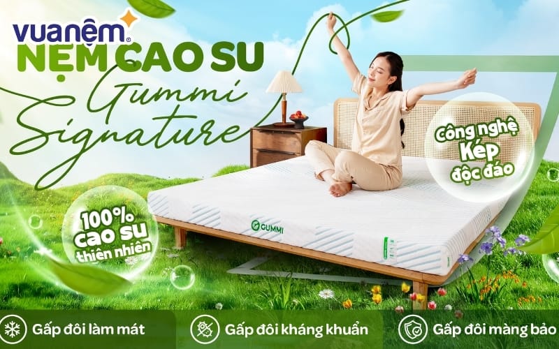 nen chon mua nem cao su hay nem bong ep