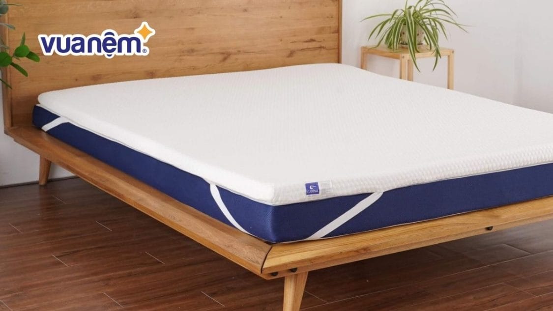 Phục hồi nệm cao su bị đen hiệu quả