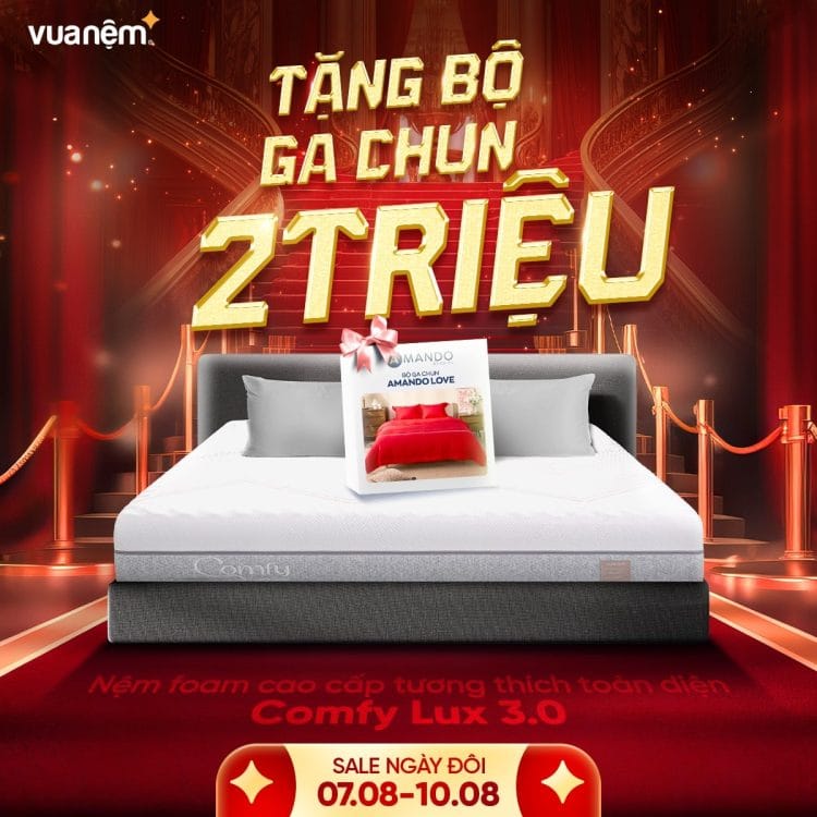 Mua nệm foam Comfy Lux 3.0 tặng bộ ga chun 2 triệu