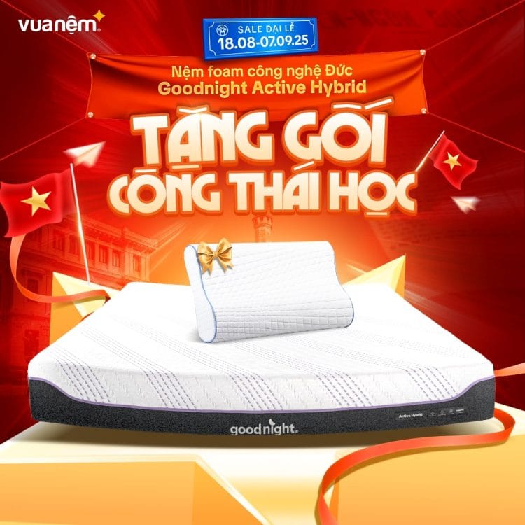Mua nệm foam Goodnight Active Hybrid tặng gối công thái học