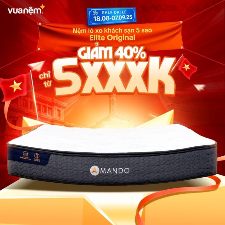 Amando Elite Original sale còn 5xxxk