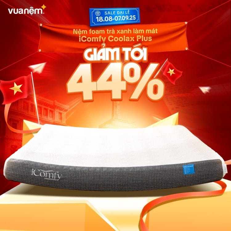 Nệm foam trà xanh làm mát Coolax Plus sale 44%