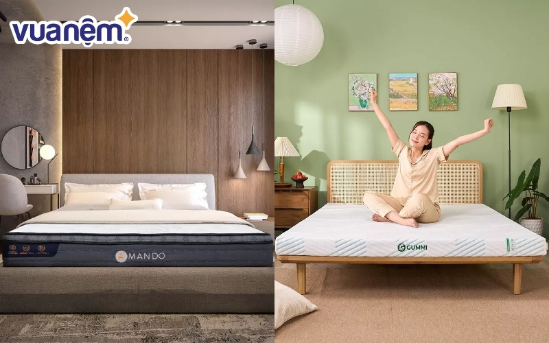 Các dòng nệm Gummi được đánh giá cao về độ đàn hồi
