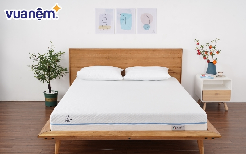 Giới thiệu tổng quan về thương hiệu Amando