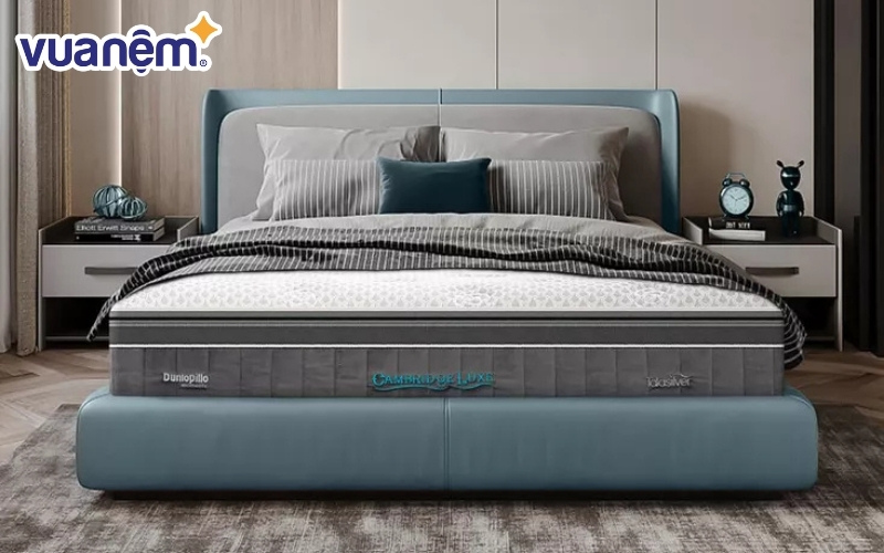 Dunlopillo là thương hiệu nổi tiếng đến từ Anh Quốc