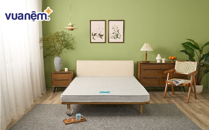 Wonjun chuyên về dòng nệm bông ép