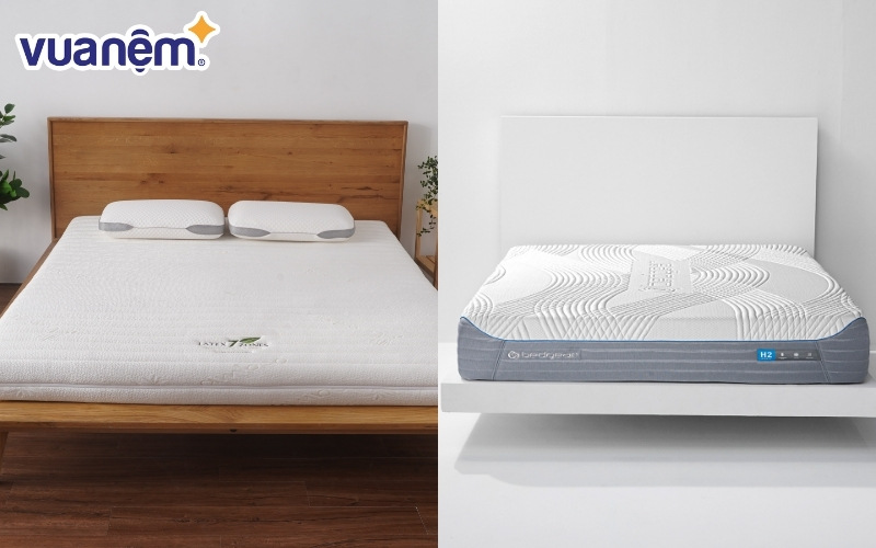 Nên nằm nệm Bedgear hay Gummi?