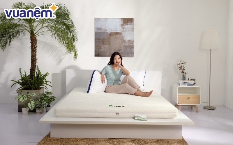 Nệm Gummi sẽ phù hợp với những người thích cảm giác nằm chắc chắn, nâng đỡ tốt