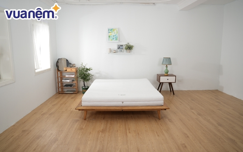 Gummi có dòng nệm cao su thiên nhiên được đánh giá cao