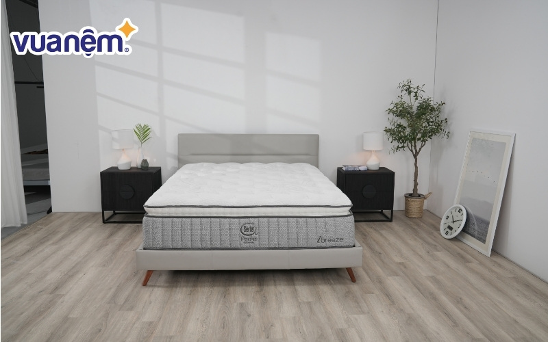 Serta thuộc phân khúc cao cấp