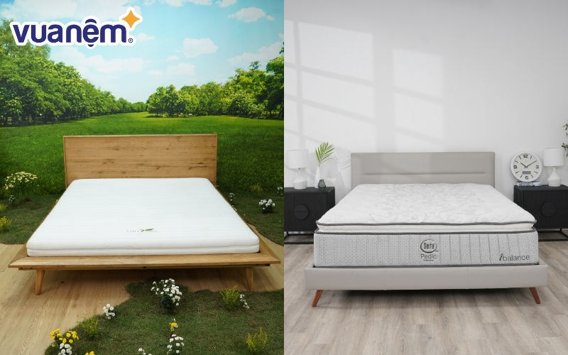 So sánh nệm Gummi (bên trái) và nệm Serta (bên phải)