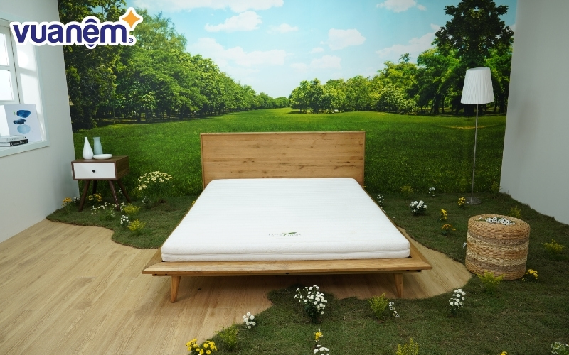 Thương hiệu Gummi chuyên cung cấp nệm, gối cao su thiên nhiên