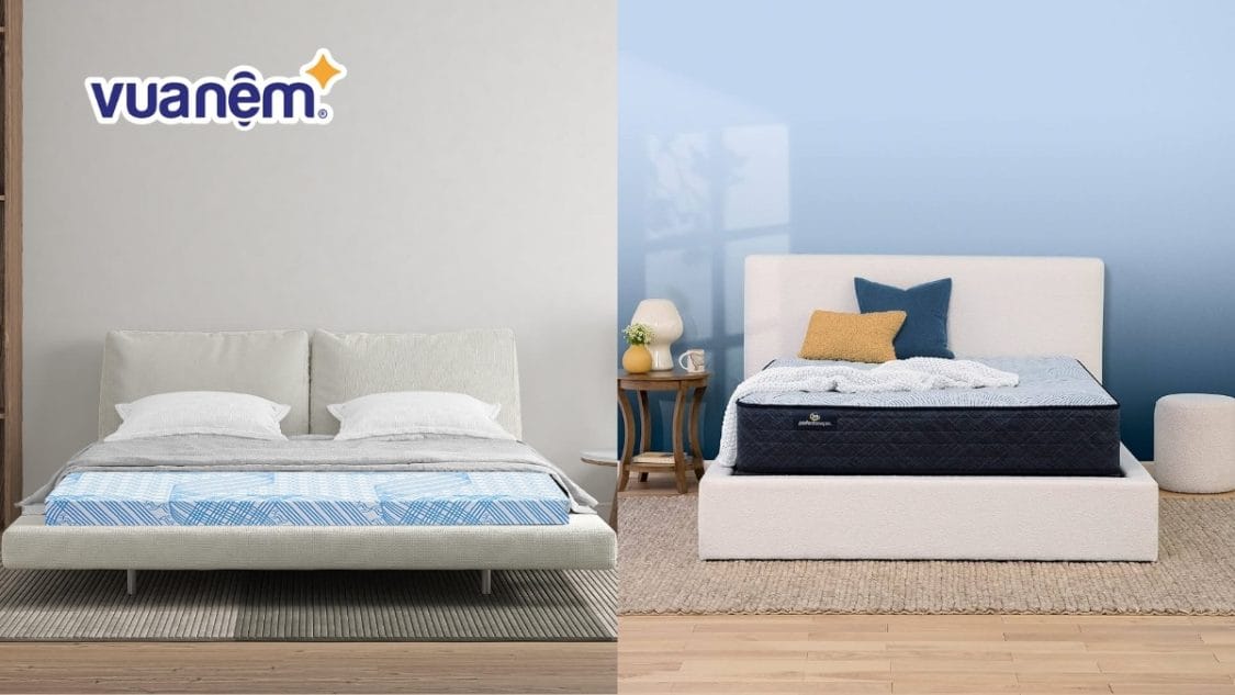 So sánh nệm Kim Cương và nệm Serta: Đánh giá độ êm từ A-Z