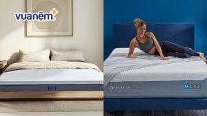 So sánh nệm Liên Á và nệm Bedgear: Nệm nào chất lượng hơn?