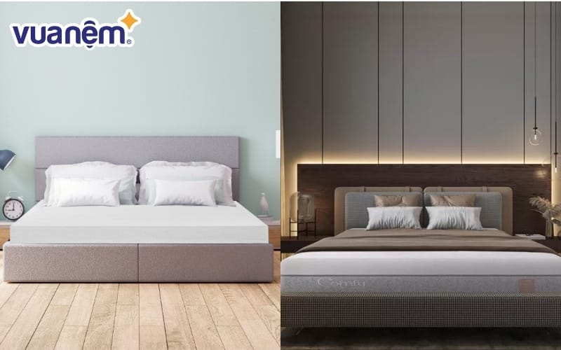 Lựa chọn nệm đàn hồi tốt của Liên Á hay nệm nâng đỡ tốt của iComfy