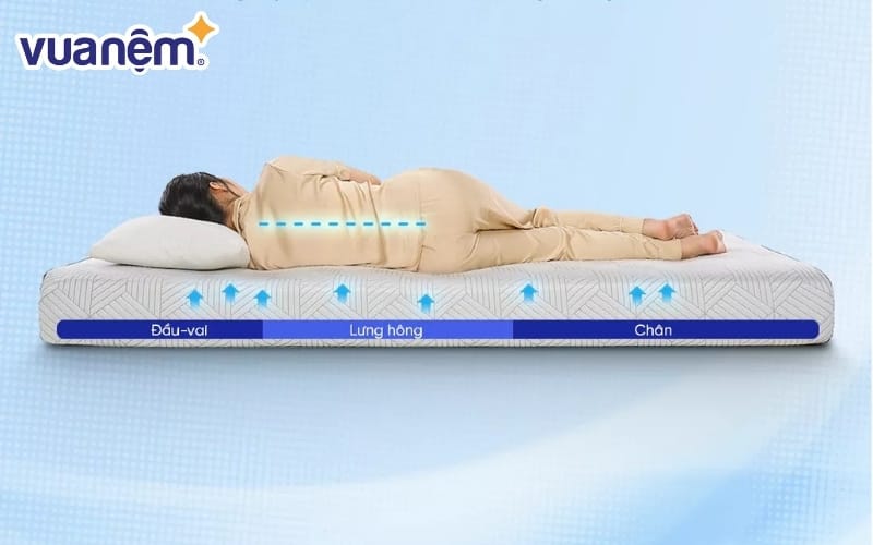 Khả năng nâng đỡ 5 vùng của nệm iComfy