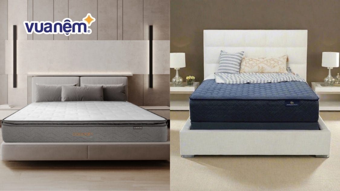 So sánh nệm Liên Á và nệm Serta: Lựa chọn nào êm hơn?