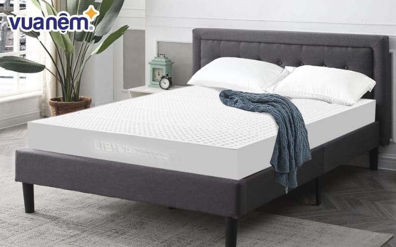 Nệm Liên Á sẽ là lựa chọn phù hợp với đa số gia đình Việt