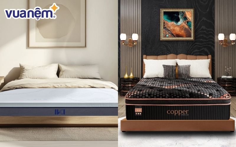 Lựa chọn dòng hybrid của Liên Á hay Spring Air?