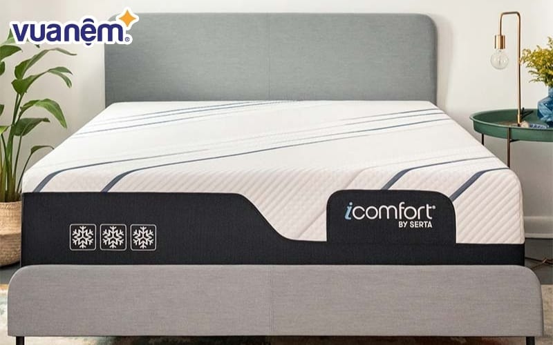 Serta nổi tiếng với loại nệm không mút