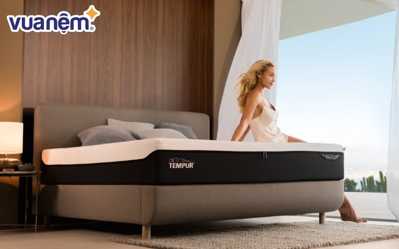 Đôi nét về thương hiệu Tempur