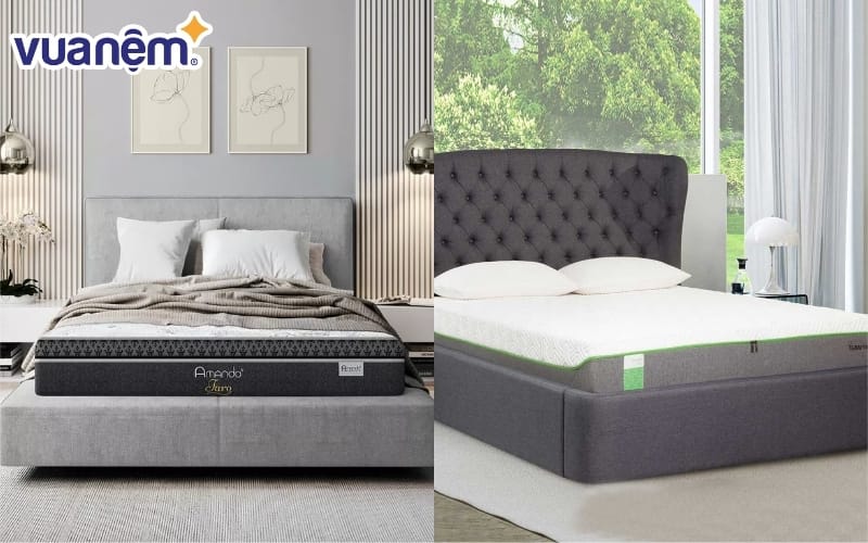 So sánh nệm lò xo Tempur với nệm Amanda