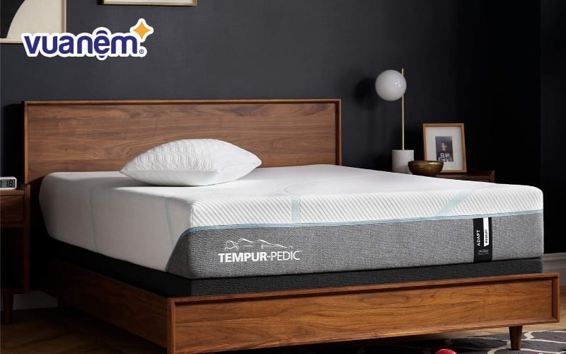 Tempur chuyên cung cấp các dòng nệm và gối cao cấp