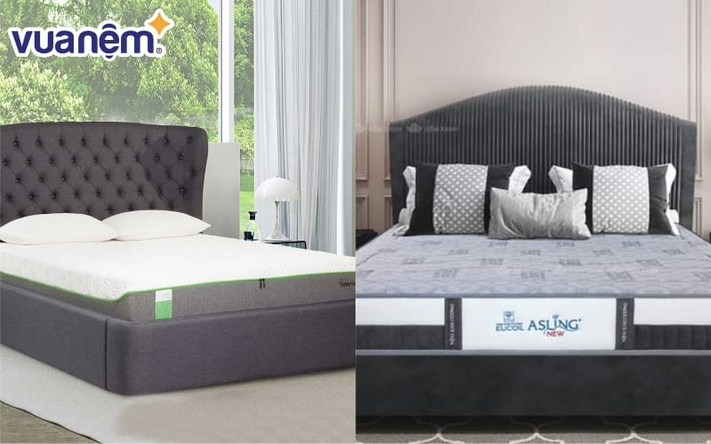 Đánh giá hai thương hiệu nệm Tempur và Kim Cương