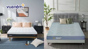 So sánh nệm Tempur và nệm Kim Cương: Phân tích chi tiết A-Z