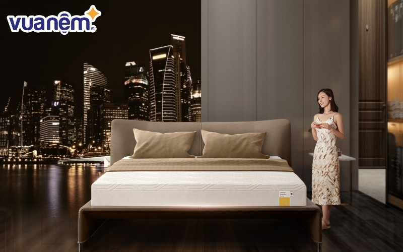 Tempur là thương hiệu nệm nổi tiếng ở Mỹ